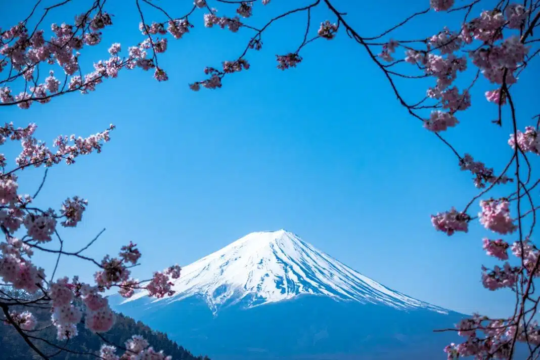 japan-auswandern