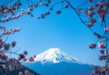 japan-auswandern