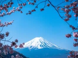 japan-auswandern