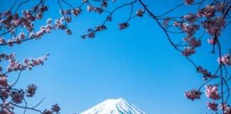 japan-auswandern