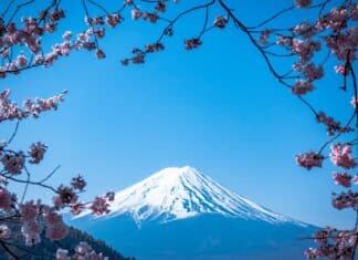 japan-auswandern