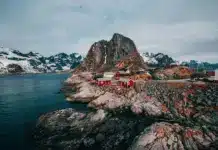 norwegen auswandern