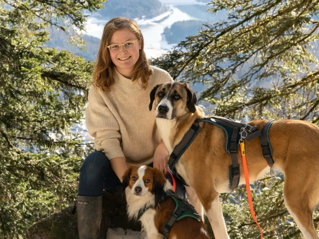 Vivien Dierichsweiler sitzt im Winter auf einem Felsen im Wald, neben ihr zwei Hunde mit Geschirr