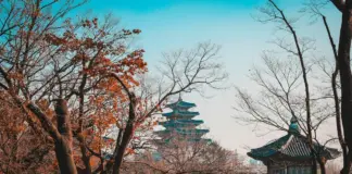 suedkorea-auswandern-1