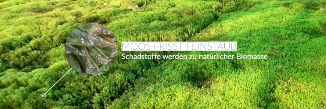 Green City Solutions