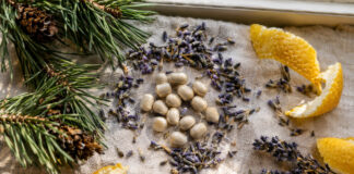 Kleine runde Kapseln liegen zwischen getrockneten Lavendelblüten, Zirbelkiefernzweigen und Zitronenschalen auf einem Leinentuch